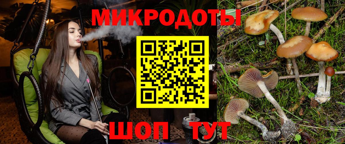 Псилоцибиновые грибы Psilocybine cubensis  Вход с VPN  Галлюциногенные грибы Magic Shrooms  купить   Мурманск 